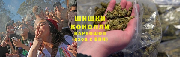 spice Каменногорск