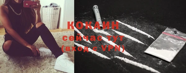 spice Каменногорск