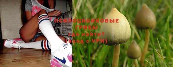прущая мука Каменка