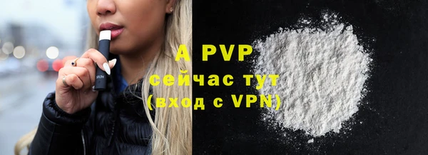 spice Каменногорск