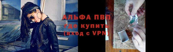 spice Каменногорск