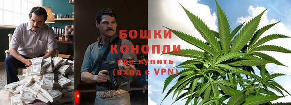 spice Каменногорск