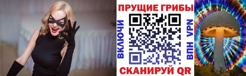 Галлюциногенные грибы GOLDEN TEACHER  Купить закладки  Еманжелинск 
